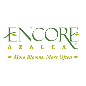 Encore Azalea logo